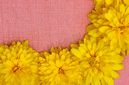 粉红色布料背景下的黄色花框