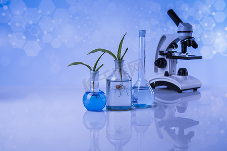 化学实验室玻璃器皿，转基因植物