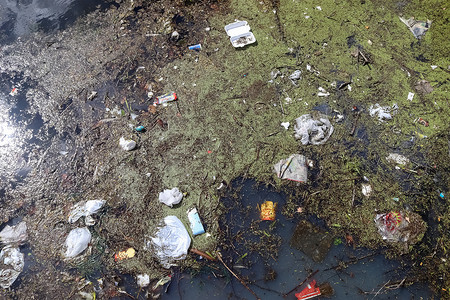 在人们倾倒垃圾的湖边发现环境污染。