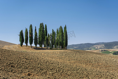 意大利托斯卡纳地区的乡村景观