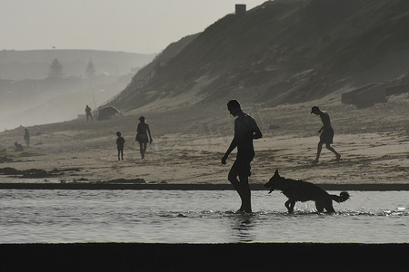 狗狗与人摄影照片_夏季海滩潮池中的人与狗