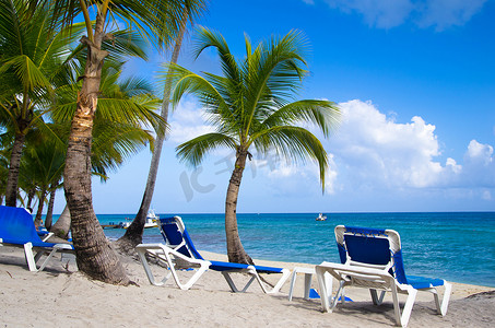 棕榈下的沙滩椅