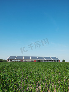 农场和太阳能电池板