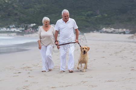 老年夫妇带着狗在沙滩上散步