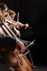 大提琴摄影照片_古典音乐会
