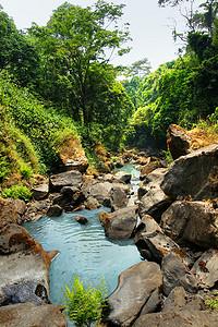 水声摄影照片_热带森林中的水声
