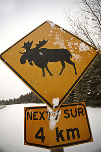 驼鹿穿越警告标志