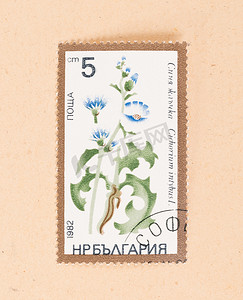 收藏摄影照片_俄罗斯 — 大约 1982 年：俄罗斯印的邮票显示一朵花，c