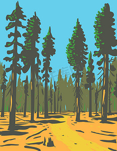 通用海报摄影照片_巨型红杉生长在位于加利福尼亚州的大国王峡谷国家公园的 General Grant Trail 和 Grove 区 WPA 海报艺术