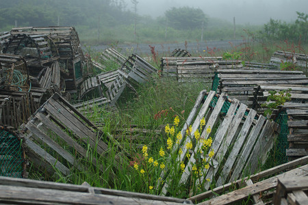 乡村垃圾