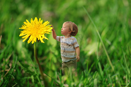蒲公英摄影照片_可爱的小男孩在草地上玩耍