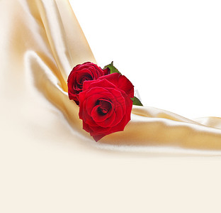 丝绸背景上的红玫瑰