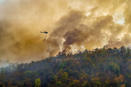 消防直升机在森林火灾中洒水