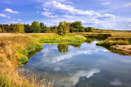 河流、树木和灌木的秋季景观