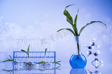 生物技术、化学实验室玻璃器皿