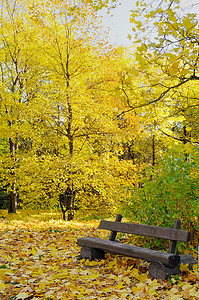 十一月风景摄影照片_秋天的风景。