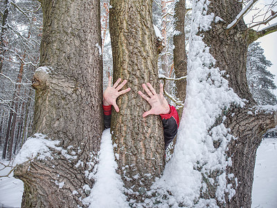 冻手冻脚摄影照片_男性手握住树干的树皮。