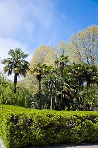 公园植物园