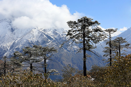 冰川运动摄影照片_云在 Kongde Ri、喜马拉雅山、Ne 山上的运动