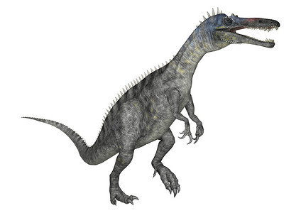 恐龙 Suchomimus