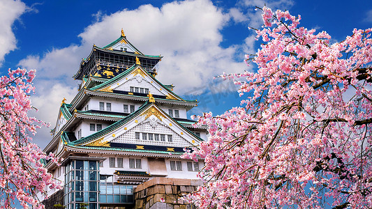 日本大阪的樱花和城堡。
