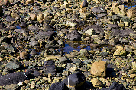 沙滩上的石头。