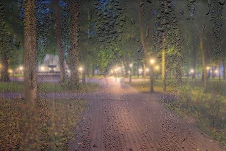 在 ni 的雨天、湿玻璃后面放着灯笼的散焦夜间公园