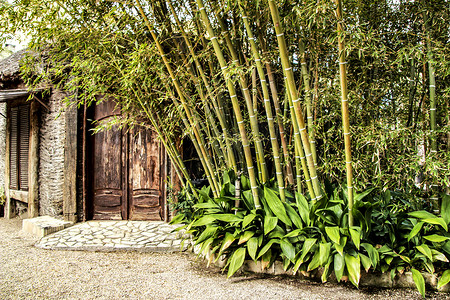 竹背景竹摄影照片_竹林间的木屋