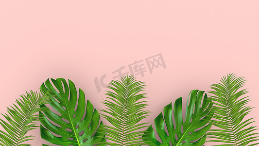 粉红色背景上逼真的棕榈叶的 3D 渲染，用于化妆品广告或时装插画。