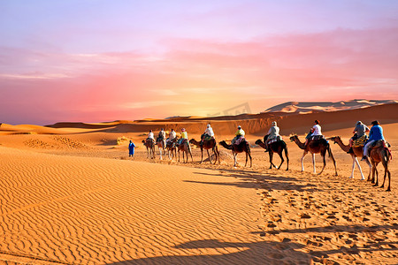 穿越撒哈拉沙漠沙丘的骆驼商队，