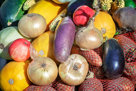 南瓜土豆玉米摄影照片_集市上出售收获的蔬菜。
