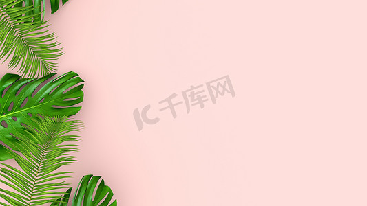 粉红色背景上逼真的棕榈叶的 3D 渲染，用于化妆品广告或时装插画。