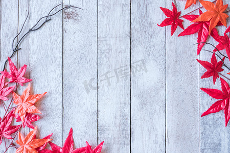 秋天木板背景摄影照片_白漆木板背景上的枫叶。