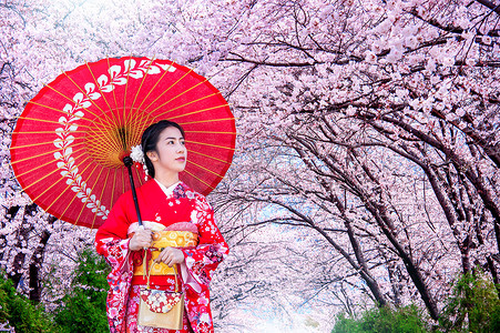 日本花艺摄影照片_日本春天穿着日本传统和服和樱花的亚洲女性。