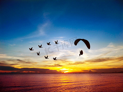 飞鸟摄影照片_剪影飞鸟和动力伞在海上和日落天空