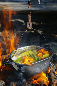 在大自然中用火锅烹制的蔬菜