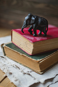两本旧书和大象在土布餐巾纸上的雕像。