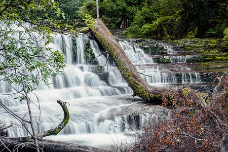 中部地区摄影照片_塔斯马尼亚中部地区的利菲瀑布