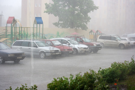 夏日雨中的汽车