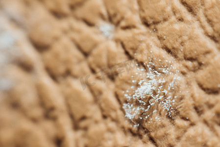 皮革表皮上长出的霉菌孢子