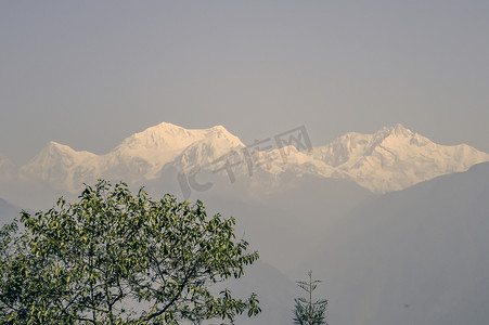 鸟瞰林摄影照片_Kanchanjungha 范围从 dzongri 通过 sikkim 附近佩林直升机停机坪