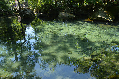 绿色水波纹摄影照片_抽象的树木、天空、石头倒映在水面的波纹中，透过清澈的水可以看到池底
