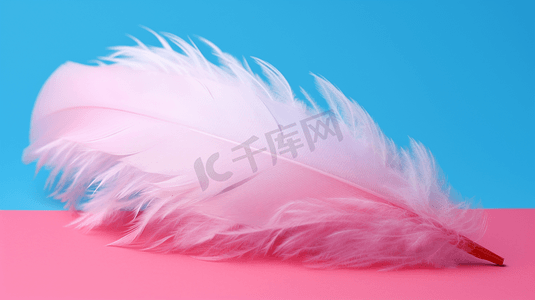 白色和粉色相间的鸟毛