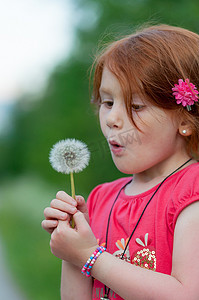 可爱的泡芙摄影照片_红头发的孩子吹了一朵花