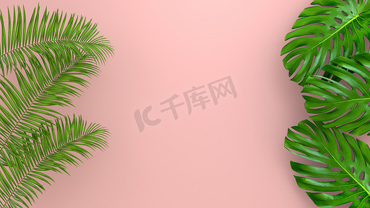 插画广告摄影照片_珊瑚生活背景上逼真的棕榈叶用于化妆品广告或时装插画。