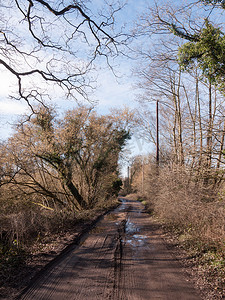 泥泞的小路穿过乡村春季农场土地跟踪树木