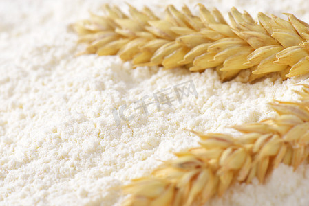 玉米摄影照片_小麦粉和麦穗