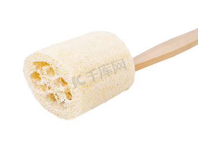 丝瓜天然海绵用于身体去除污垢和死皮。