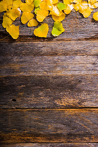 秋天木板背景摄影照片_秋季木制背景