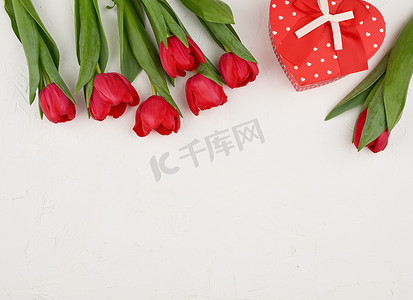 一束红色盛开的郁金香与绿叶，包裹的礼物 t